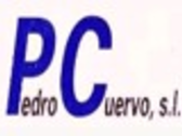 Pedro Cuervo