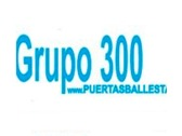 Grupo 300