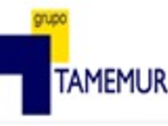 Grupo Tamemur