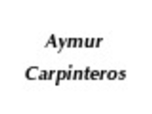 Asymudsassr Carpinteros