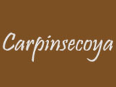 Logo Carpinsecoya